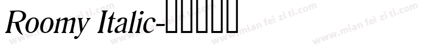 Roomy Italic字体转换